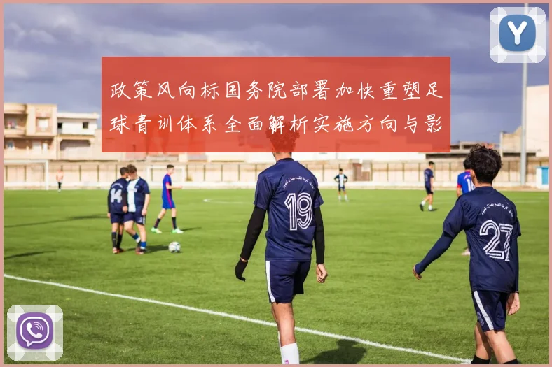 政策风向标国务院部署加快重塑足球青训体系全面解析实施方向与影响
