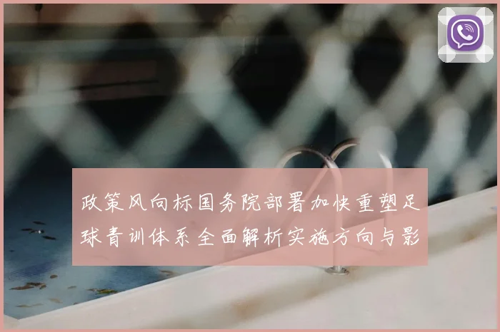 政策风向标国务院部署加快重塑足球青训体系全面解析实施方向与影响
