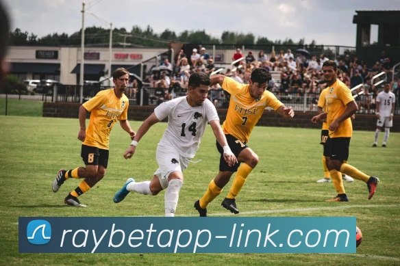 多媒体互动体验