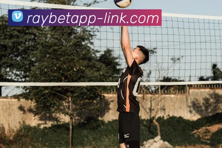 RAYBET(雷电竞)官方授权电竞信息服务中心APP 高清赛事图